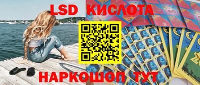 гашик Кулебаки