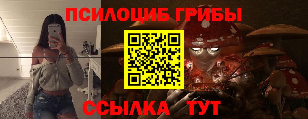 Псилоцибиновые грибы Cubensis  Галлюциногенные грибы GOLDEN TEACHER  Шали  Вход с VPN 